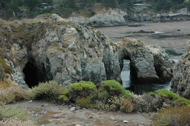 Point Lobos 071.jpg